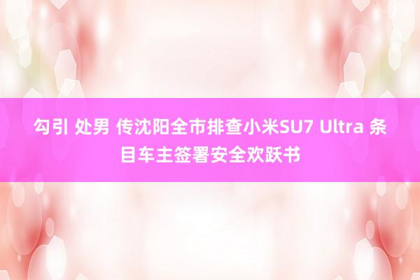 勾引 处男 传沈阳全市排查小米SU7 Ultra 条目车主签署安全欢跃书