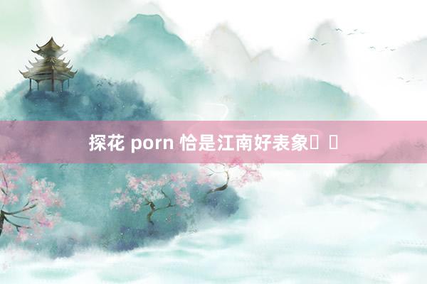 探花 porn 恰是江南好表象☁️